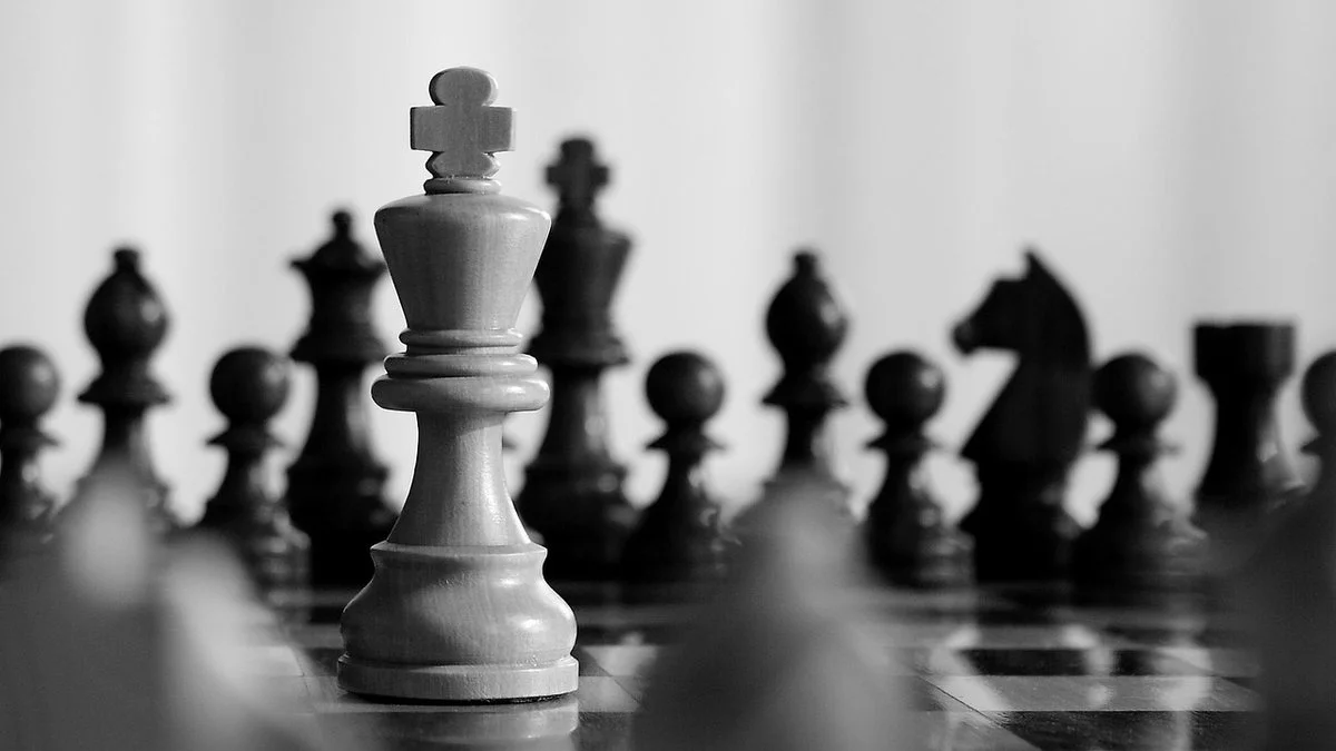 尼克斯史诗胜利名人球迷狂欢球队后续走向成焦点